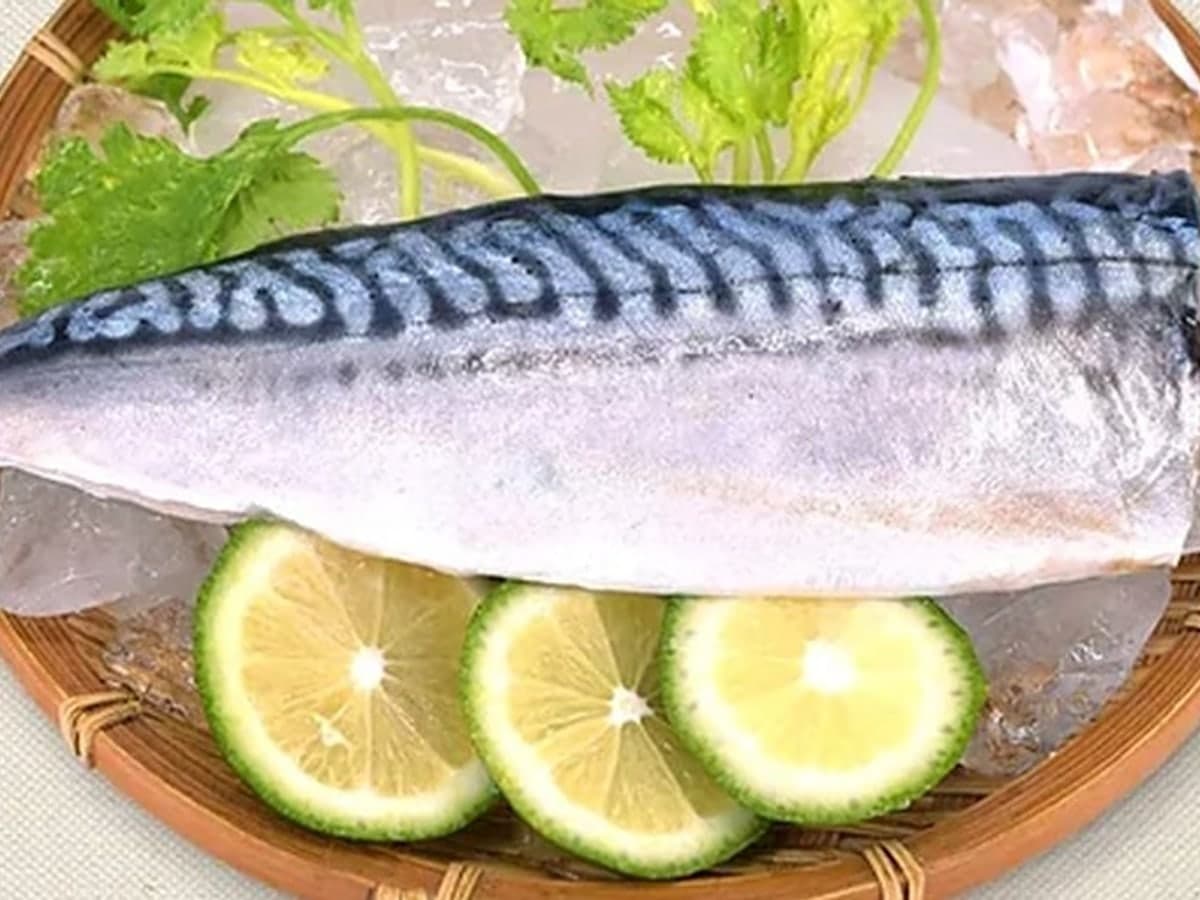 真實型錄中的挪威鯖魚切片照片